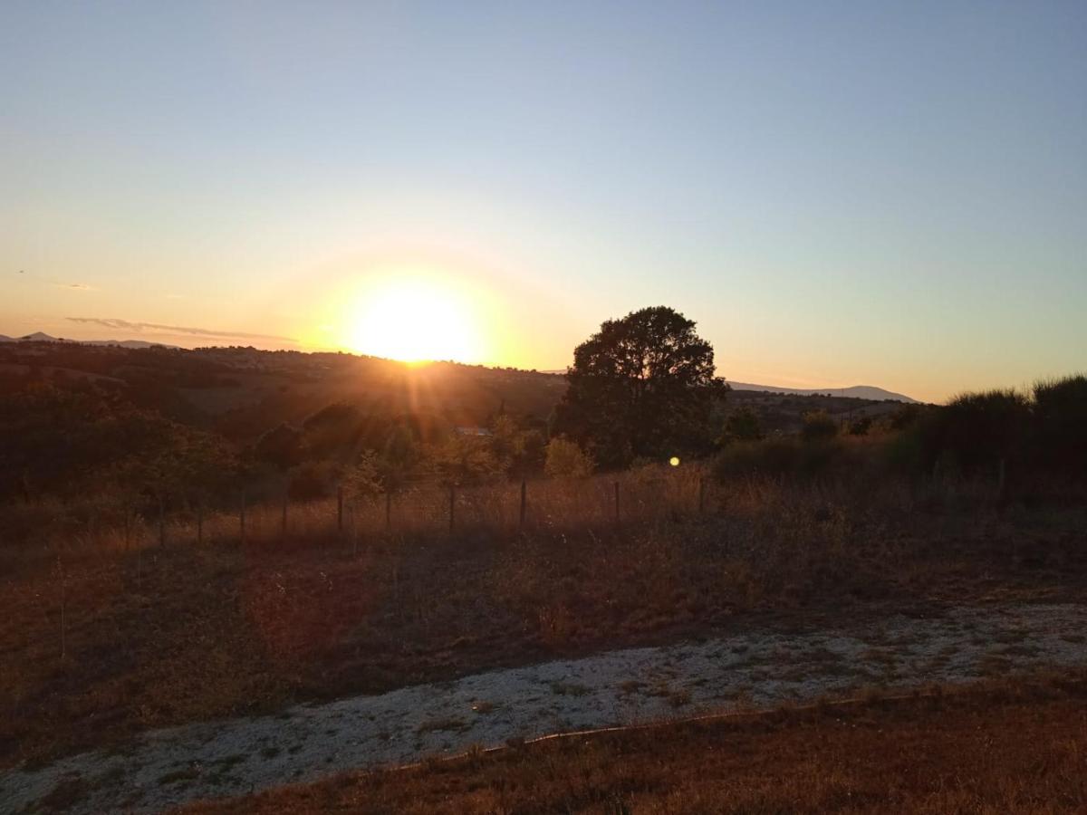 Agriturismo Il Cielo In Terra Sant'Oreste エクステリア 写真