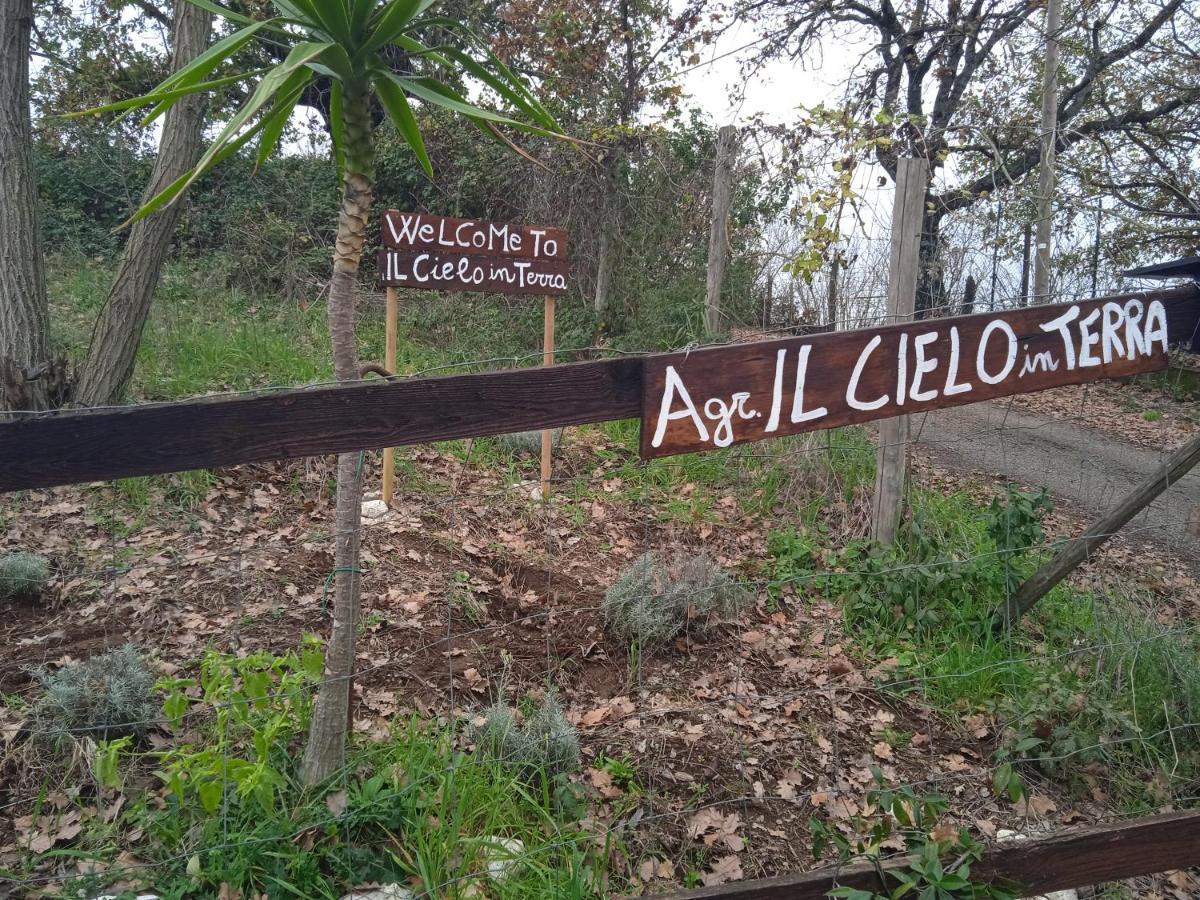 Agriturismo Il Cielo In Terra Sant'Oreste エクステリア 写真